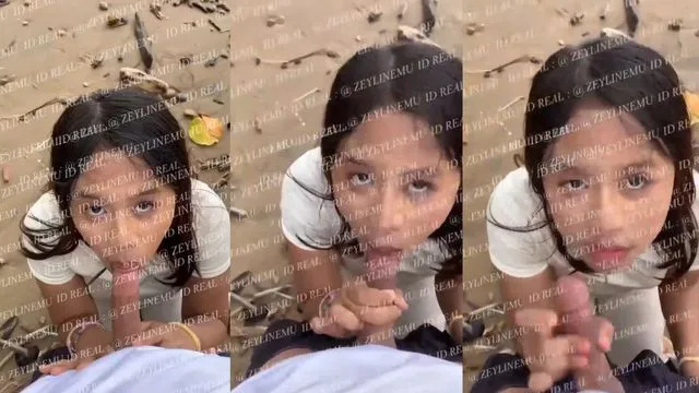 Bokep Indo Alter Zeylinemu Nyepong di Pantai